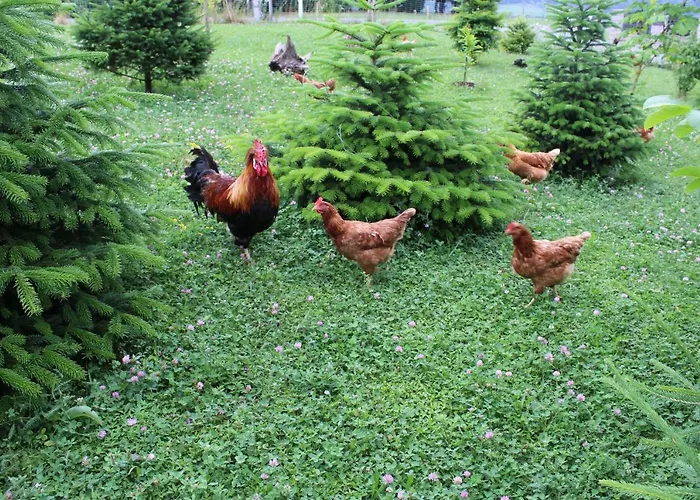 Lueckl * Mettersdorf am Sassbach